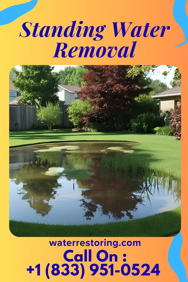 Standing Water Removal in Parker, FL
